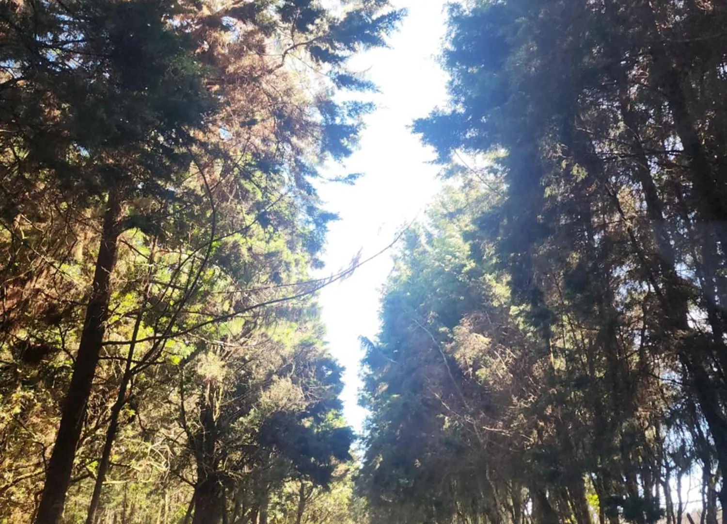 Campo de lujo Cabana La Morada Medellín